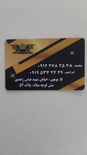 عکس املاک تخت جمشید