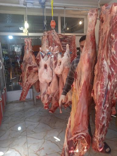 عکس قصابی و پروتئینی حسین پور