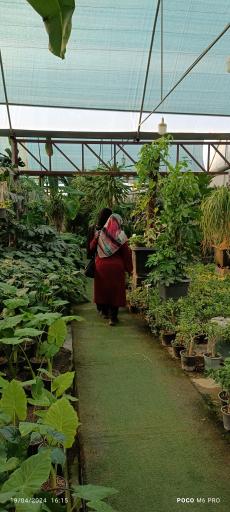 عکس تولیدات گل و گیاه مثنوی