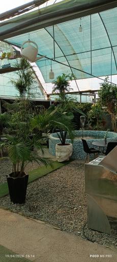 عکس تولیدات گل و گیاه مثنوی