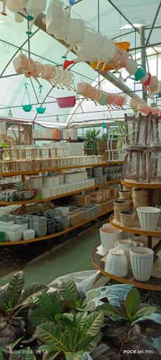 عکس تولیدات گل و گیاه مثنوی