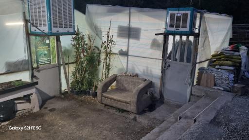 عکس گلسرای کلیشمی