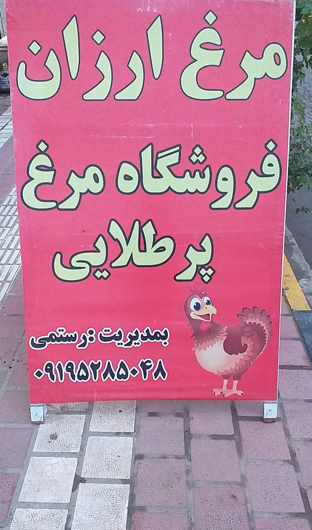 عکس مرغ فروشی پرطلایی 