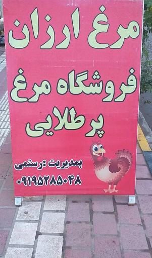 عکس مرغ فروشی پرطلایی 