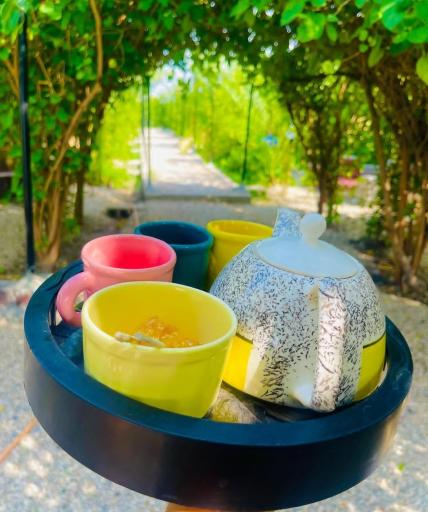 عکس کافه باغ شب های رامهرمز