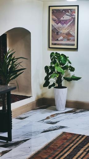 عکس کافه لحظه