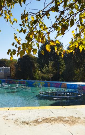 عکس پارک ارم