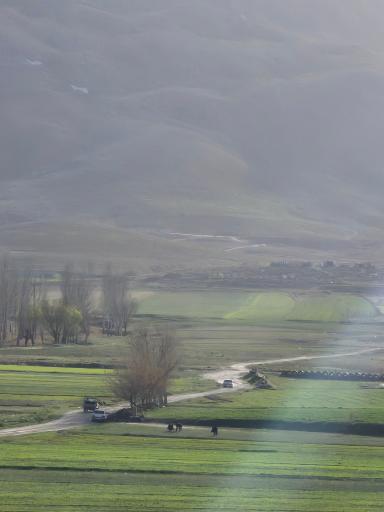عکس نافچ
