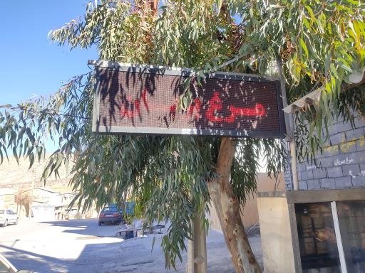 عکس کلهٔ پزی و مرغ بریان نارنج