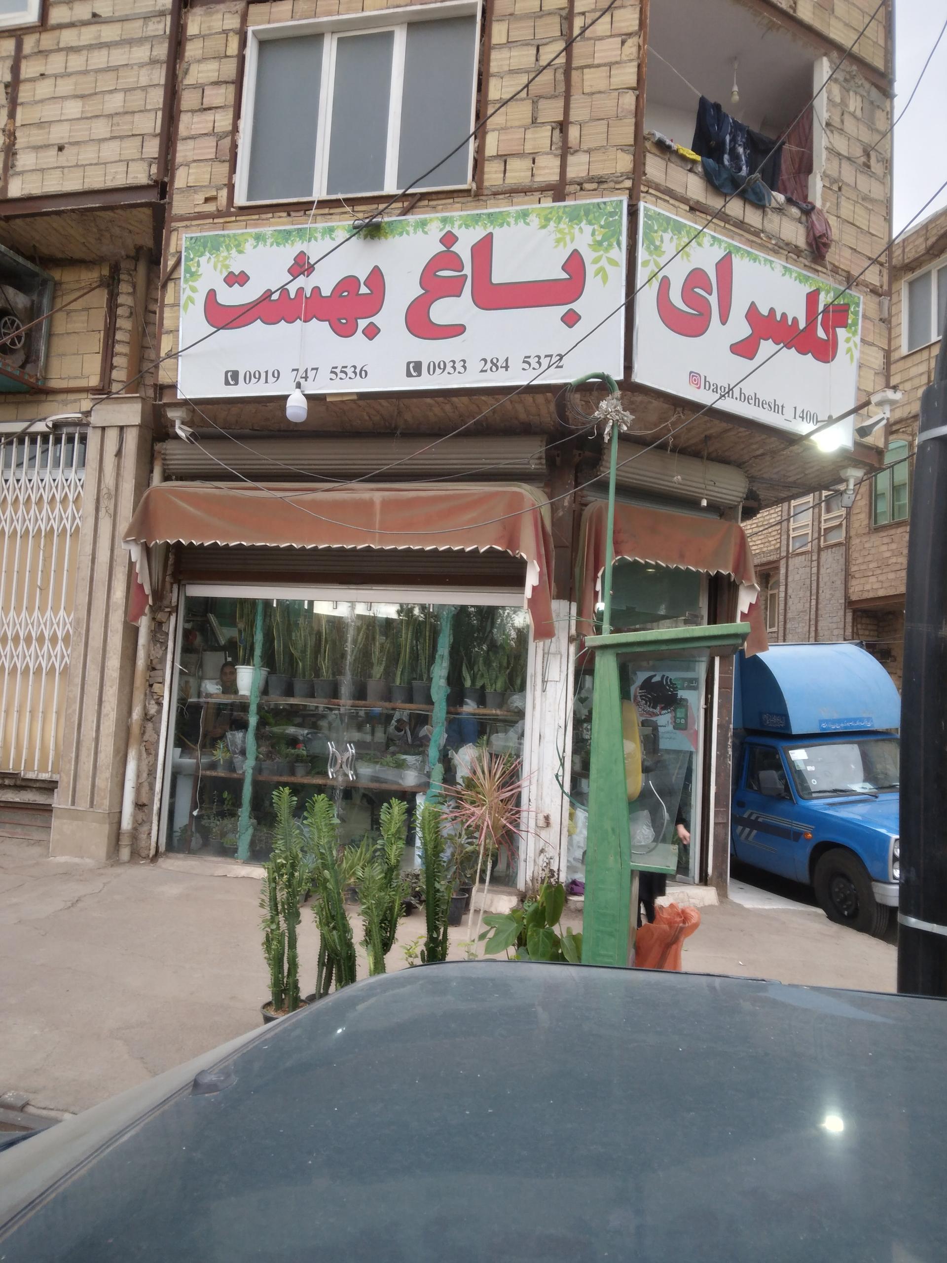 عکس گل سرای باغ بهشت