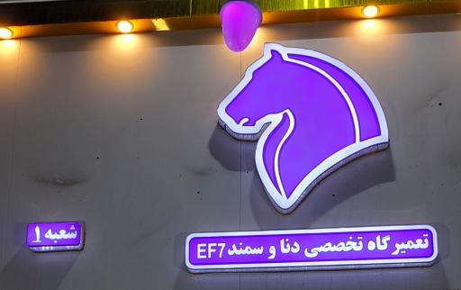 عکس تعمیرگاه تخصصی پژو سلیمی کیا