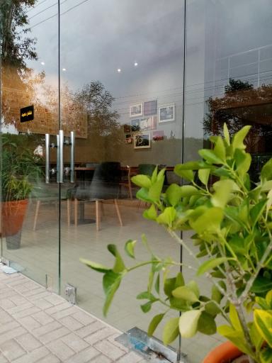 عکس قهوه دانه