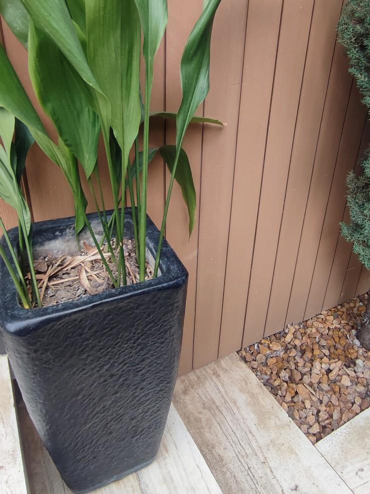 عکس چوب پلاست پلاستووود