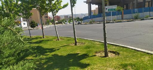 عکس میدان طبیعت