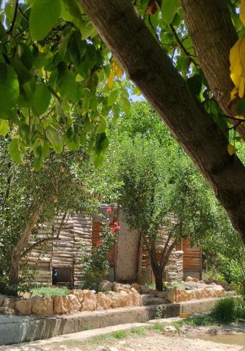 عکس باغ تفریحی طارونه