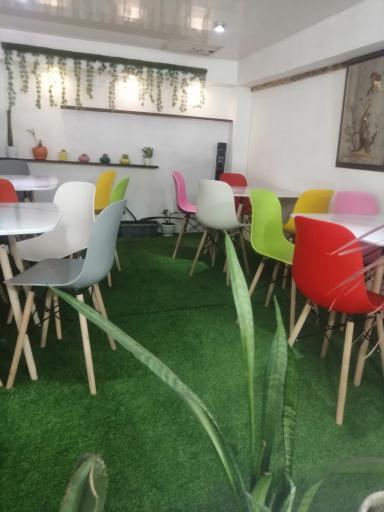 عکس فست فود مجی خان 