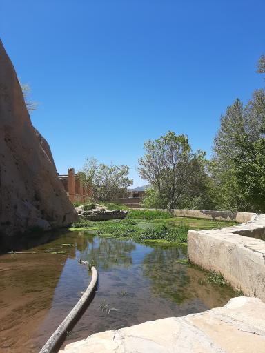 عکس پارک امیر