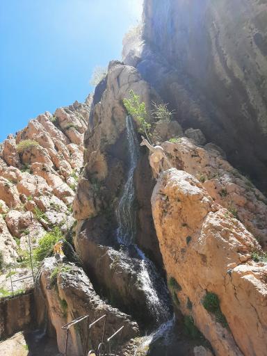 عکس پارک امیر