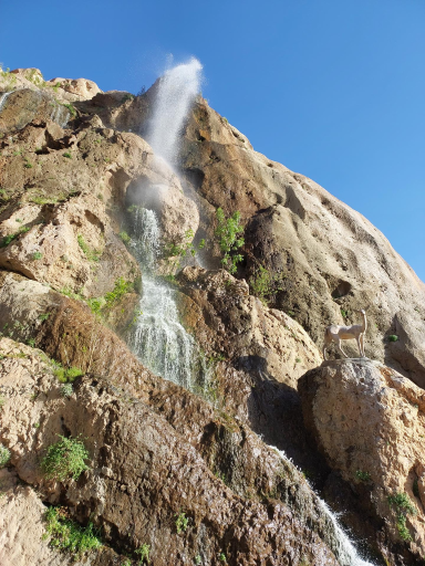 عکس پارک امیر