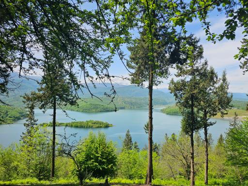 عکس سد دریاچه لفور