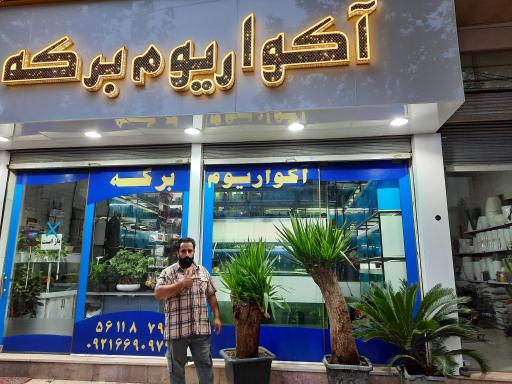 عکس آکواریوم برکه