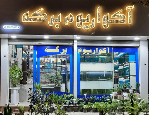 عکس آکواریوم برکه