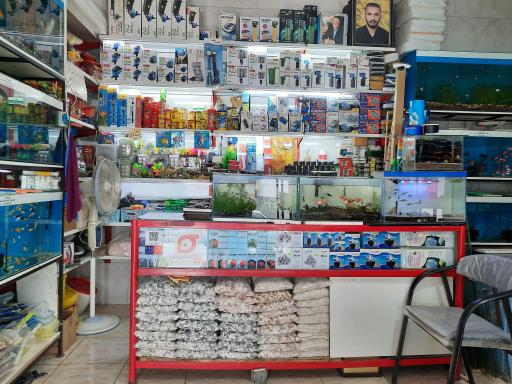 عکس آکواریوم برکه