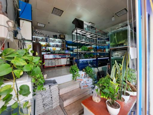 عکس آکواریوم برکه