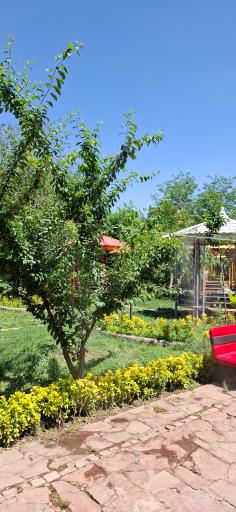 عکس کافه باغ  رستوران تینو