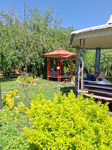 عکس کافه باغ  رستوران تینو