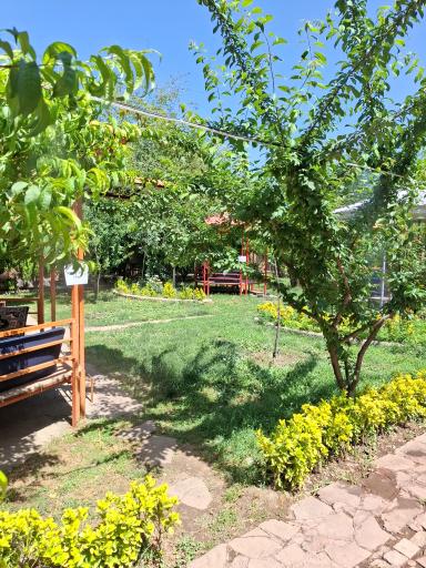 عکس کافه رستوران تینو