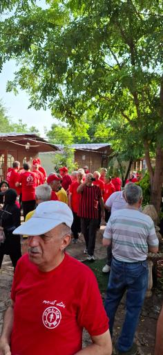 عکس کافه باغ  رستوران تینو