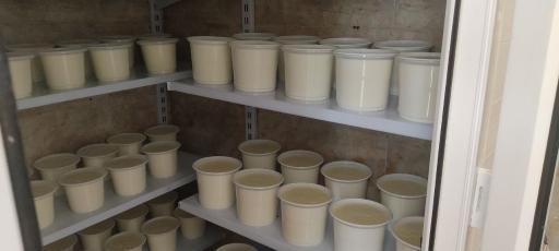 عکس لبنیات سنتی دکتر لبن 