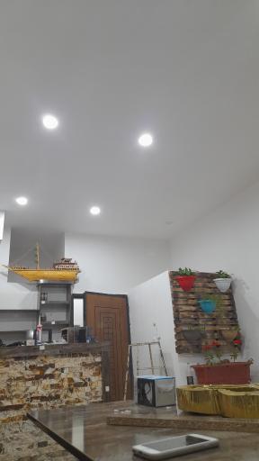 عکس فست فود آلویچ