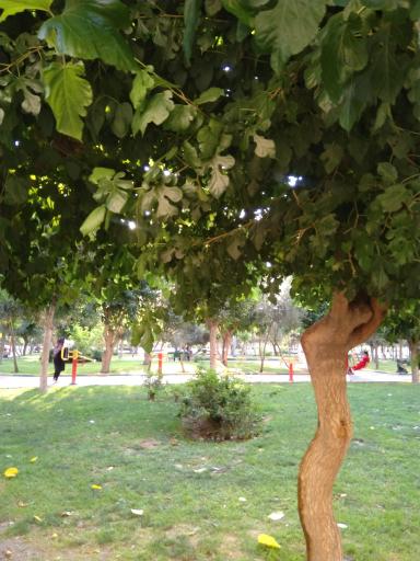 عکس بوستان بانوان نسیم شهر