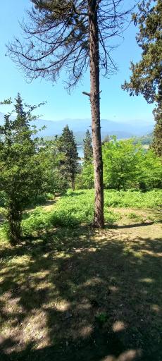 عکس سد دریاچه لفور