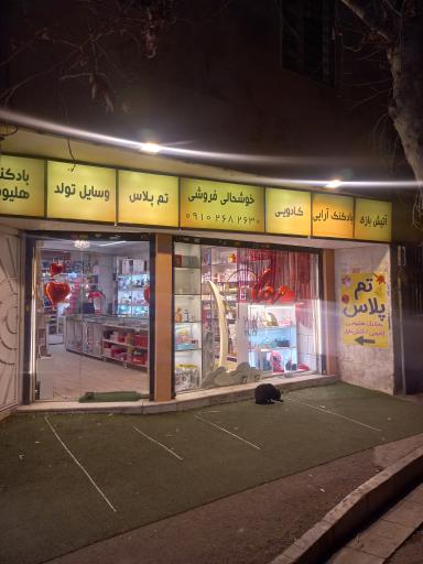 عکس فروشگاه تم پلاس