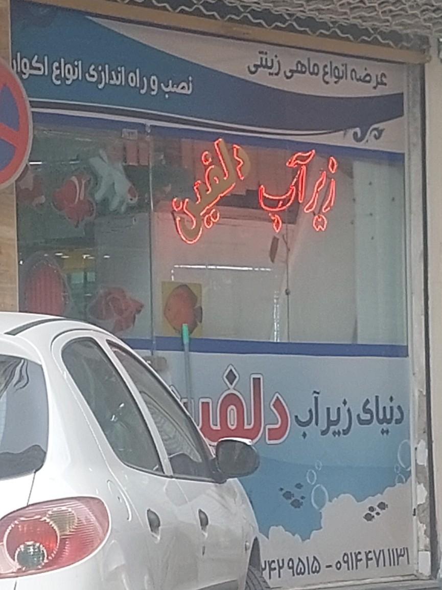 عکس آکواریوم دنیای زیر آب دلفین