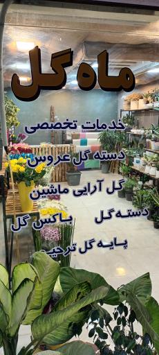 گلفروشی ماه گل