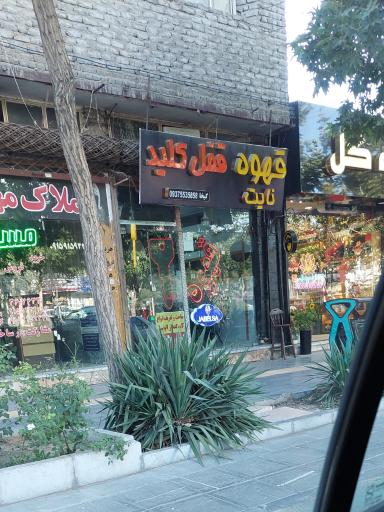 عکس قهوه نایت