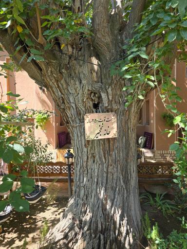 عکس اقامتگاه نخجیر