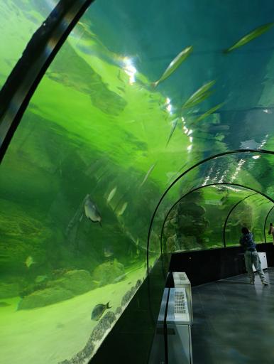 عکس تونل آکواریوم ناژوان اصفهان