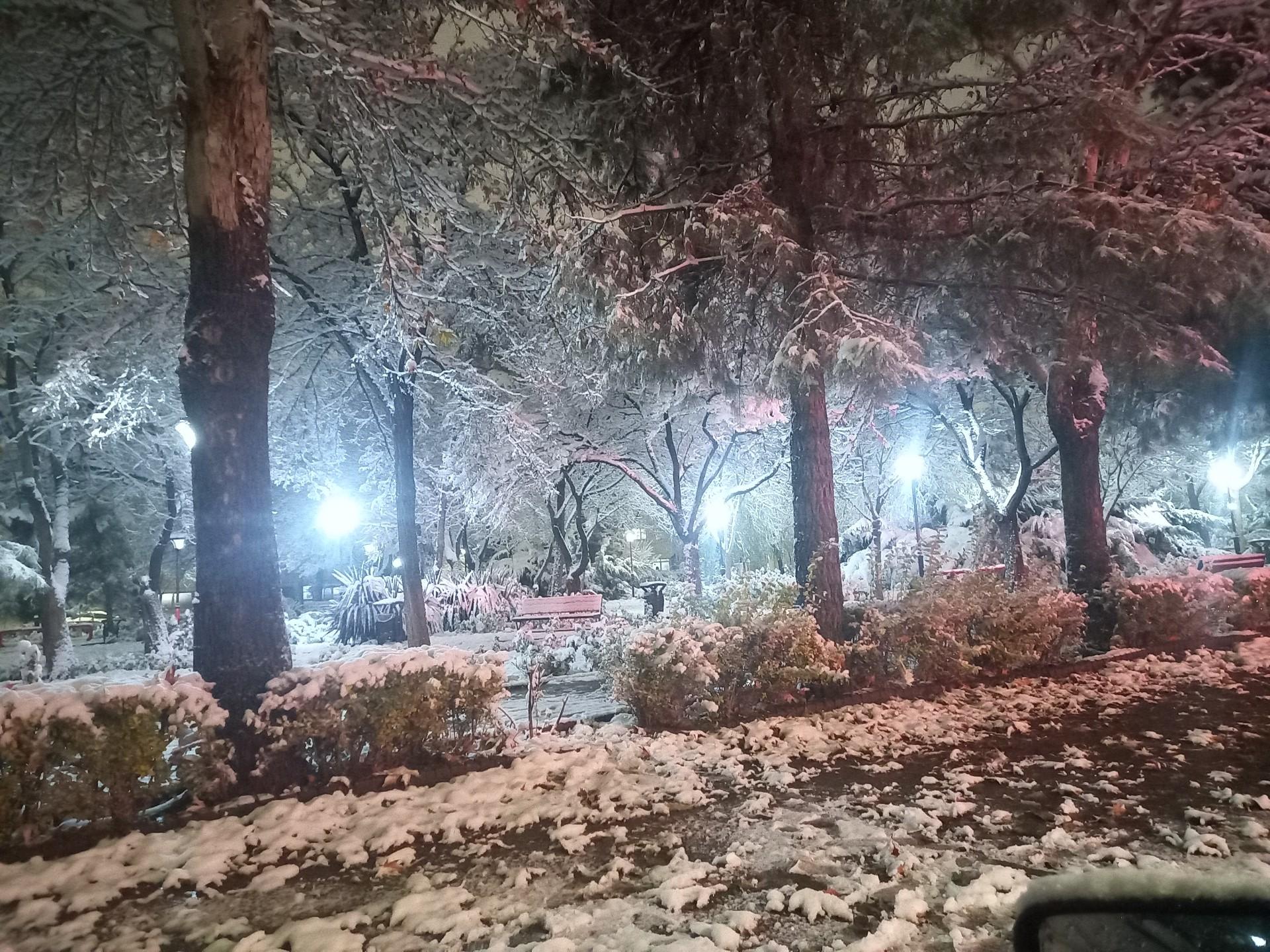 عکس بوستان شباهنگ