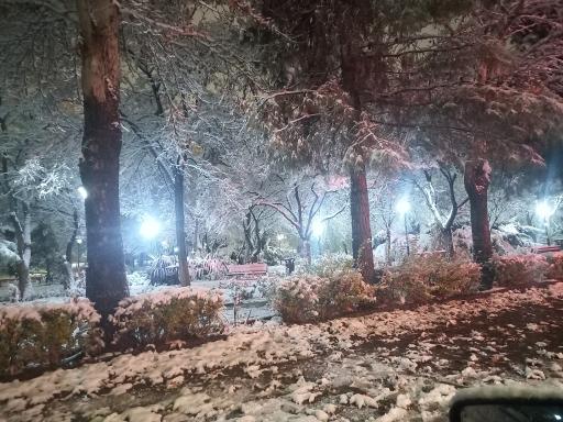 عکس بوستان شباهنگ