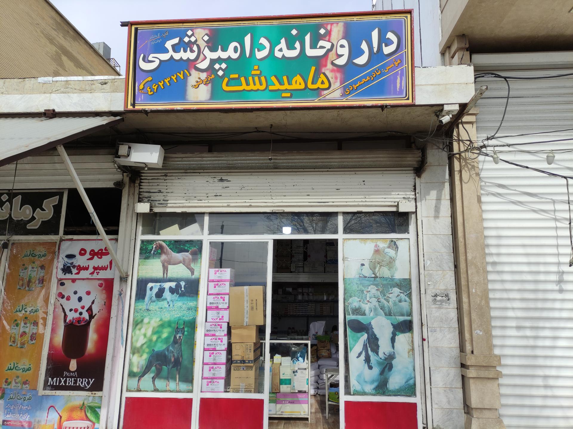 عکس داروخانه دامپزشکی محمودی