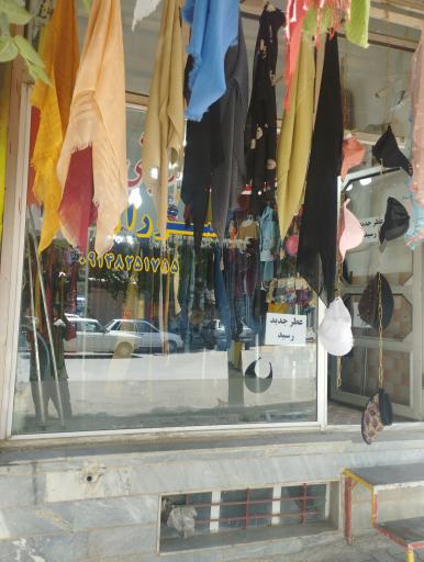 آرایشی سوران