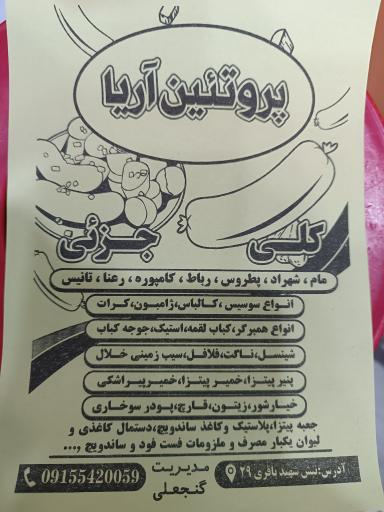 پروتئین آریا