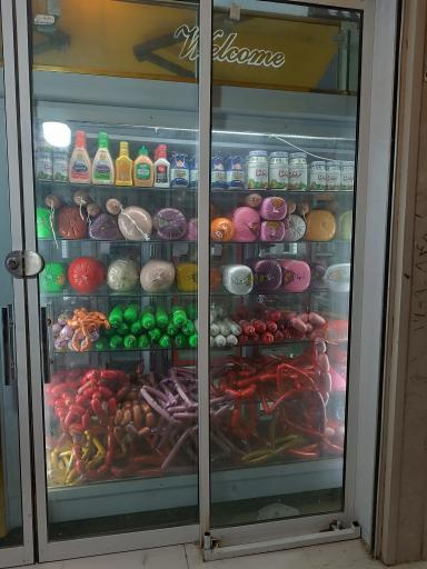 پروتئین آریا