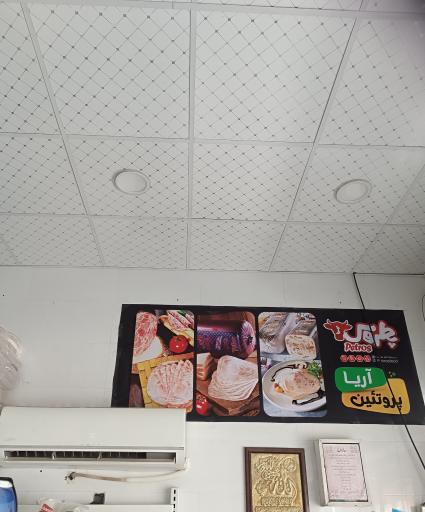 عکس پروتئین آریا