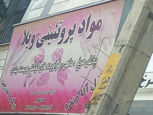 عکس پروتئینی دهقان ویلا